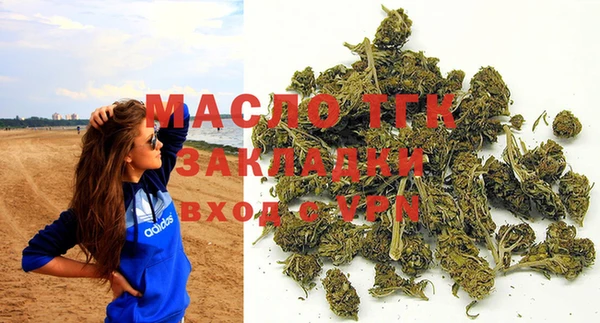 прущие грибы Абаза