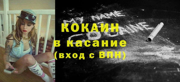 прущие грибы Абаза