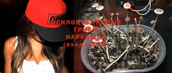 дурь Алексин