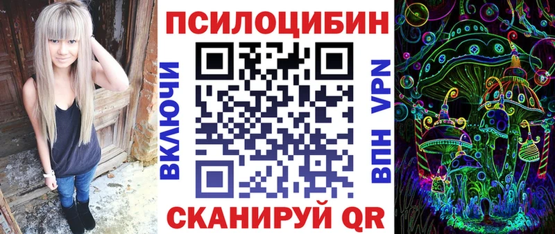 закладка  Дубовка  Псилоцибиновые грибы Psilocybe 
